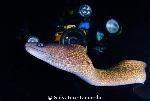 Meetings Nightlight... by Salvatore Ianniello 